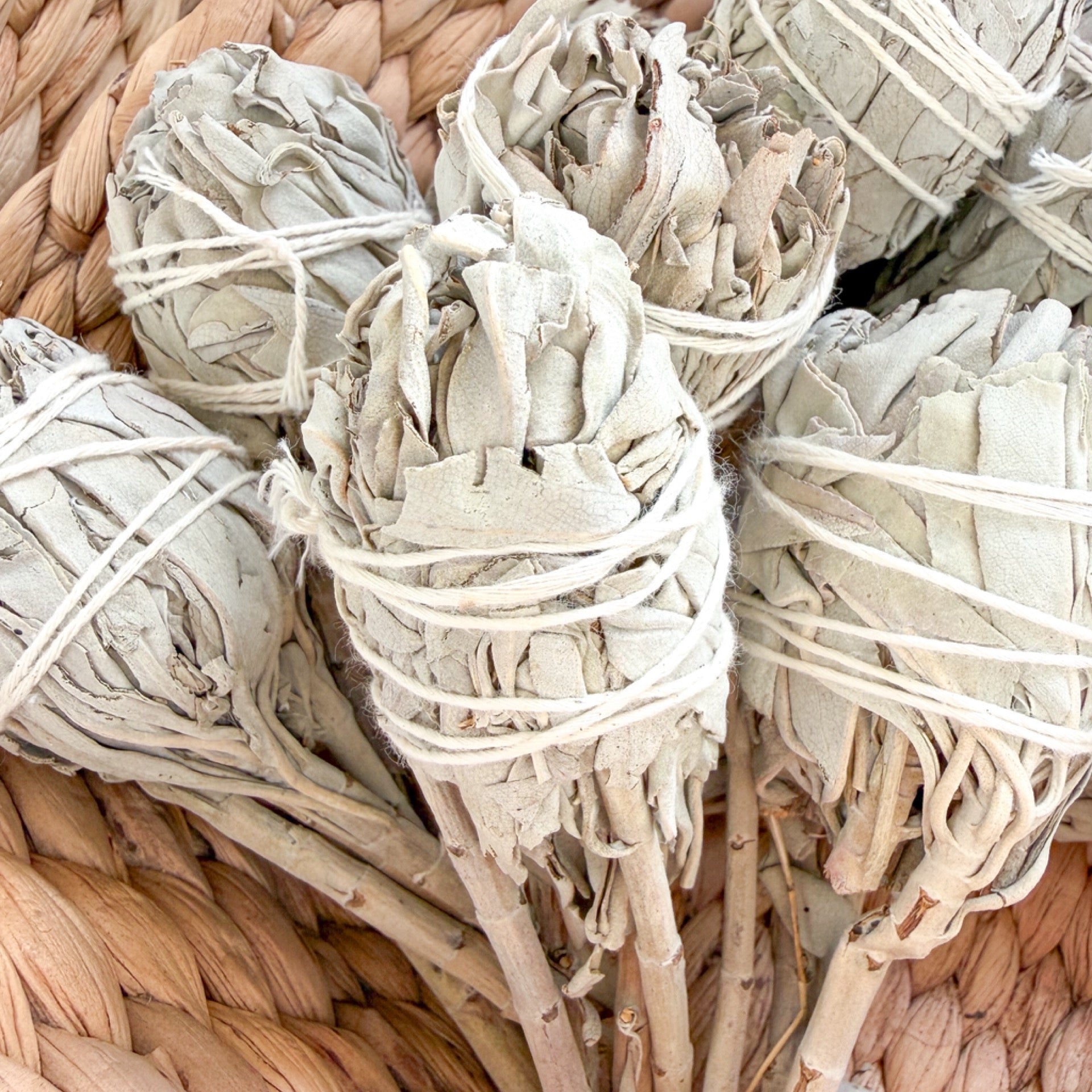 Sage Mini - Cleansing/Clearing